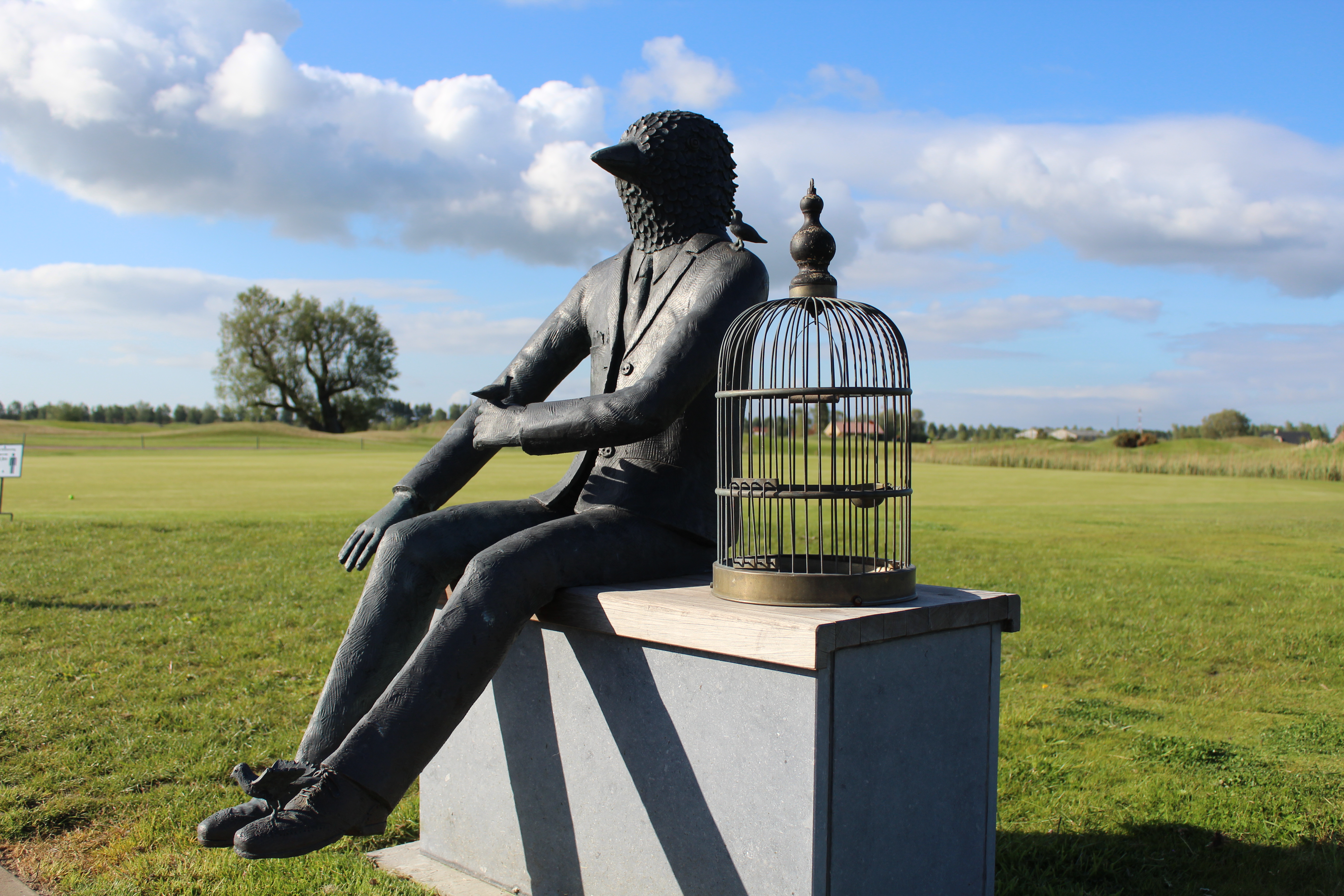 20200512 - Kunst Vogelvrij