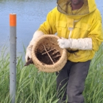 20260518 - bijennest - imker 002
