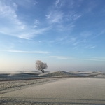 20180220 - winter 002