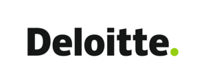 Deloitte nieuw 2016